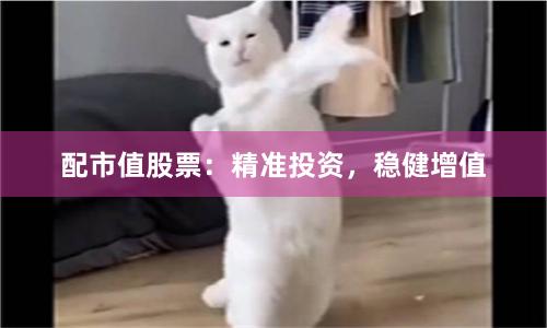 配市值股票：精准投资，稳健增值